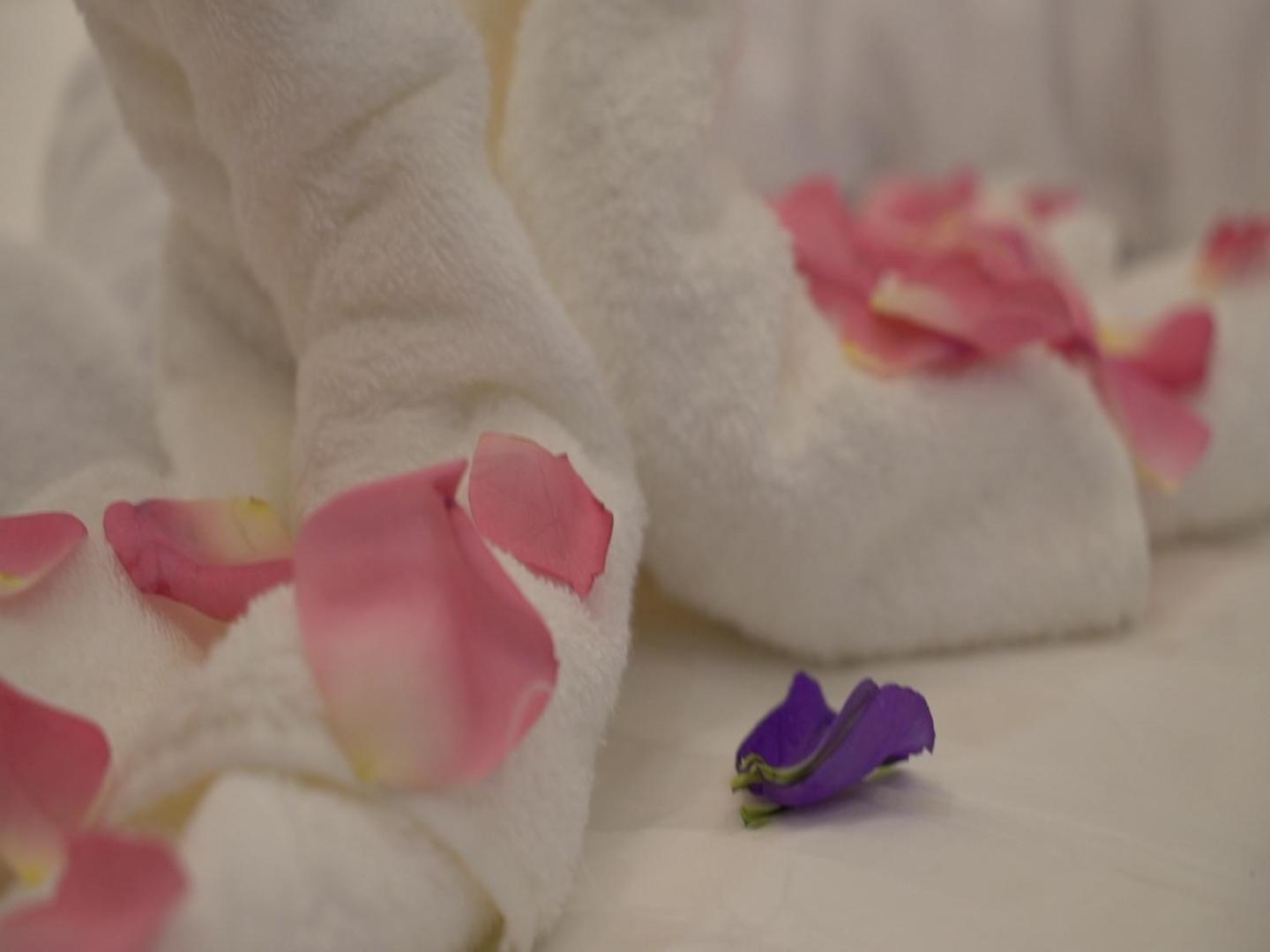 Violet Rose Aprit Hotel ジェッダ エクステリア 写真